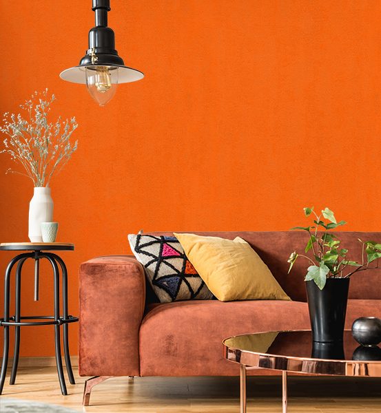 پنتونکست-201017