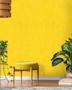 پنتونکست-201065