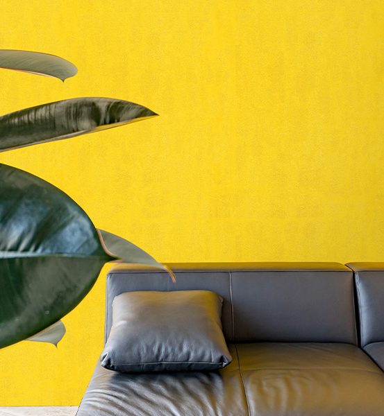 پنتونکست-201065