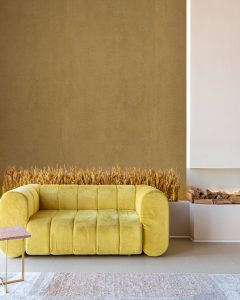 پنتونکست-201089